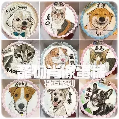 pet portrait cake album 202302 orig